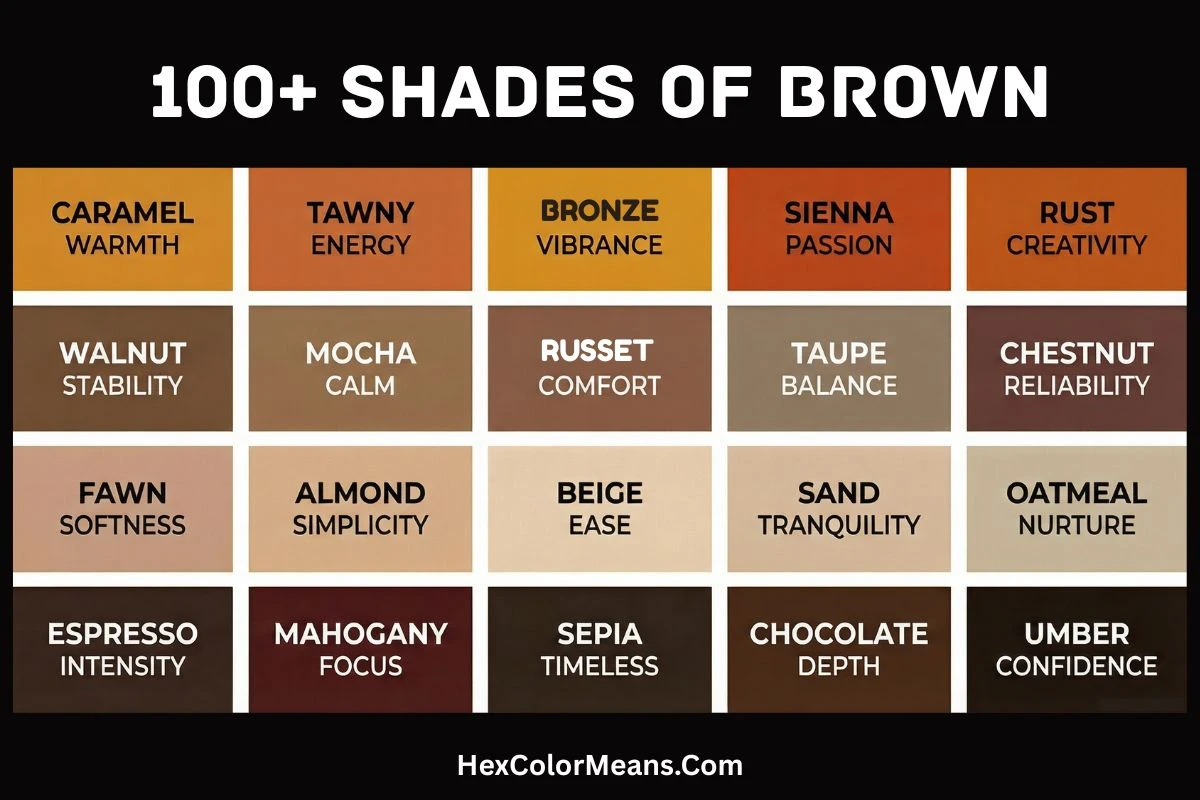 over 100 popular shades of brown color